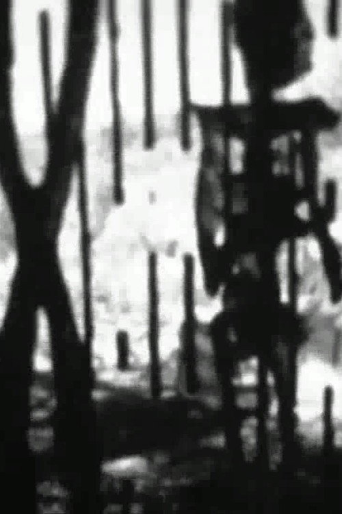 Feature Presentation (1994) poster