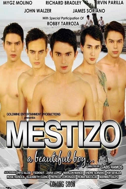 Mestizo: A Beautiful Boy (2012) poster