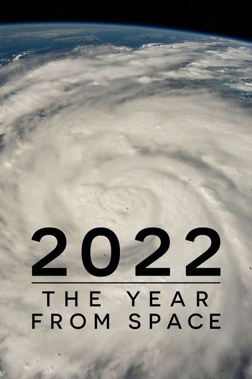2022: The Year from Space (2023) poster