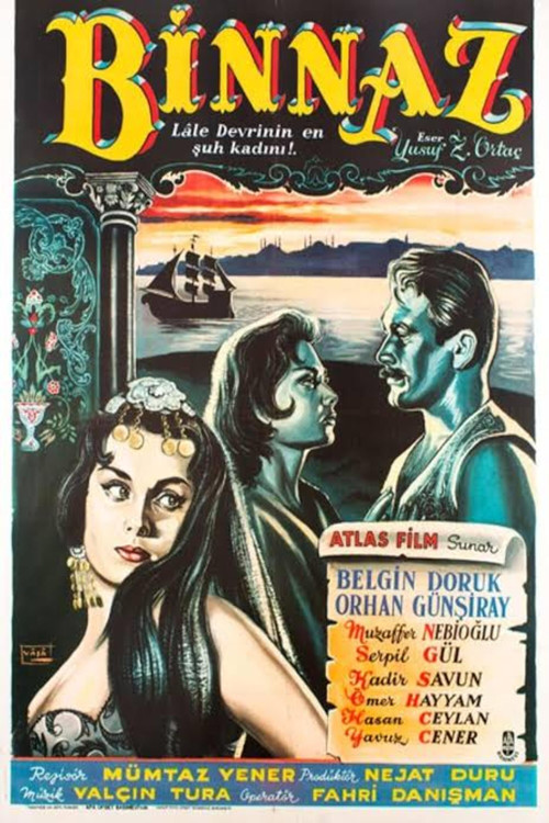 Binnaz (1959) poster
