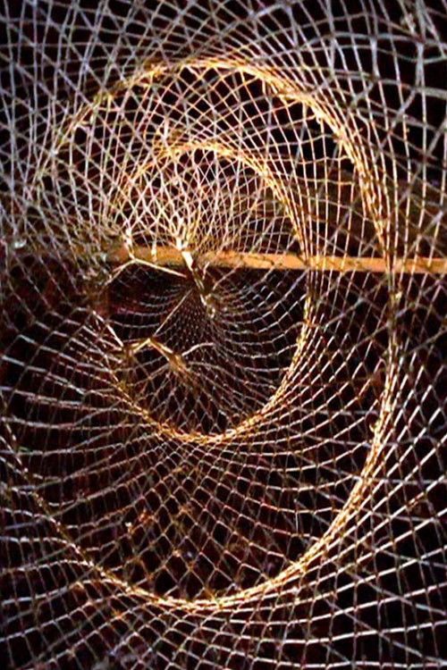 Fluid Line (2021) poster