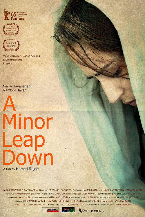 A Minor Leap Down (2015) poster