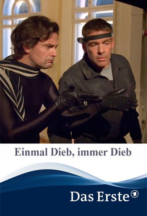 Einmal Dieb, immer Dieb (2007) poster