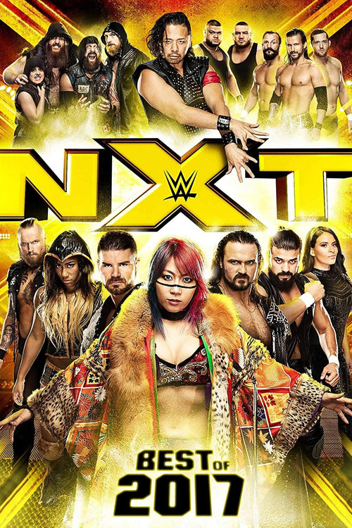 NXT: Best of 2017 (2018) poster