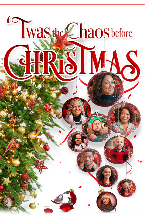 Twas the Chaos Before Christmas (2019) poster