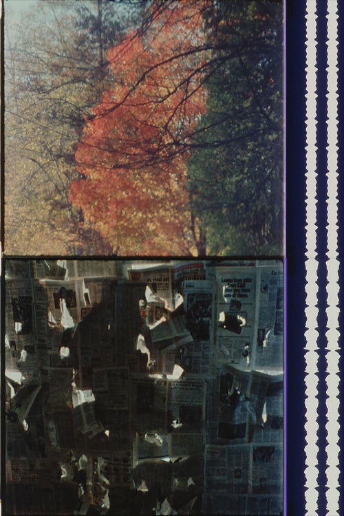 Cheap Imitations Part V/VI: Terms of Analysis (1982) poster