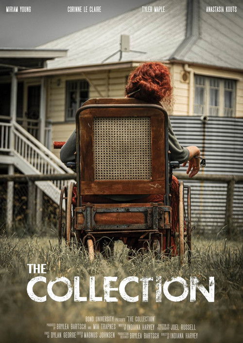 The Collection (2024) poster