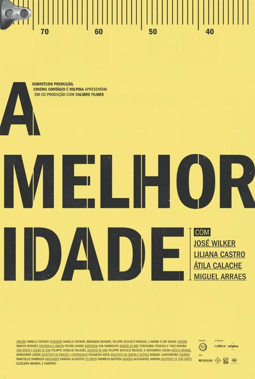 A Melhor Idade (2011) poster