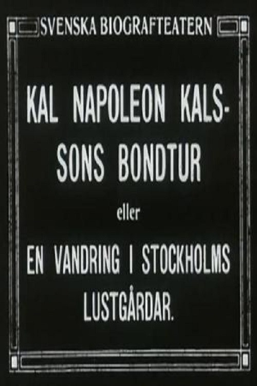 Kal Napoleon Kalsson's Farm Ride (1915) poster