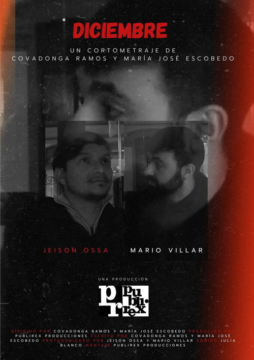 Diciembre (2024) poster