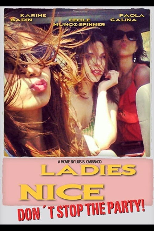 Ladies Nice (2013) poster