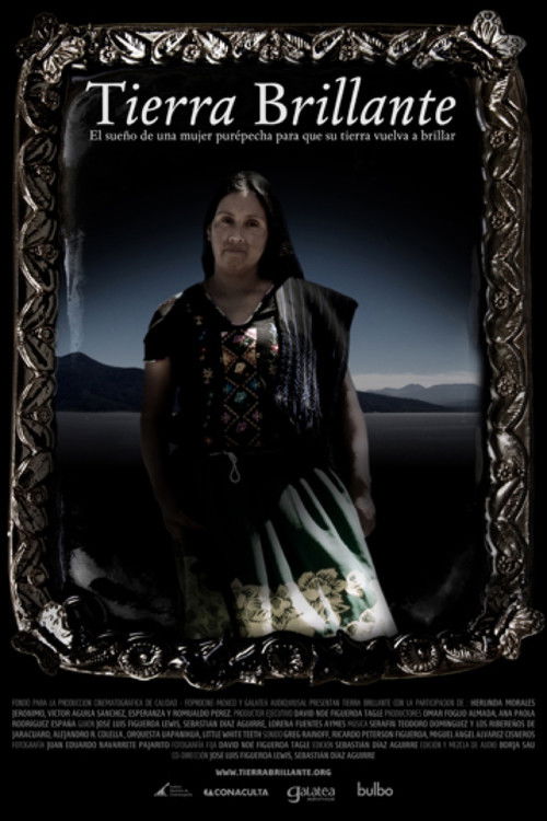 Brilliant Soil (2011) poster