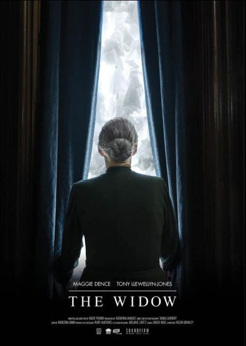 The Widow (2015) poster
