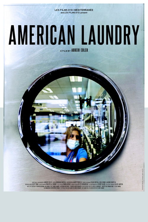 American Laundry (2022) poster