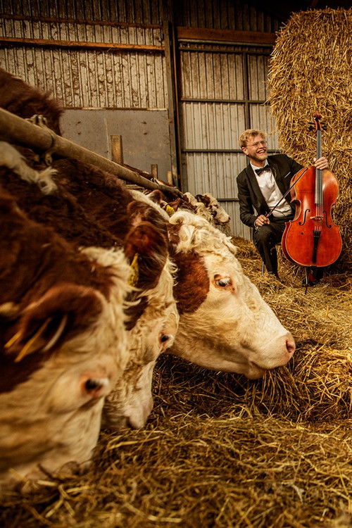 Et klassisk liv (2026) poster