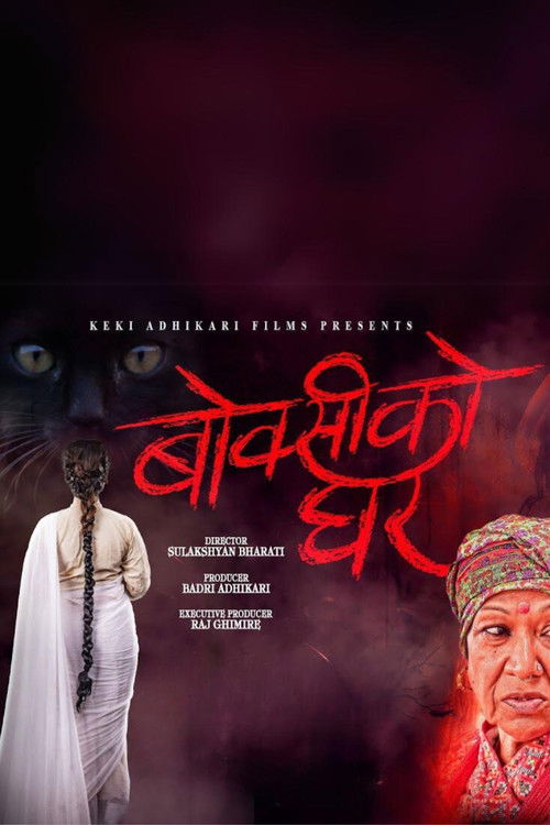 House of a Witch (2024) poster