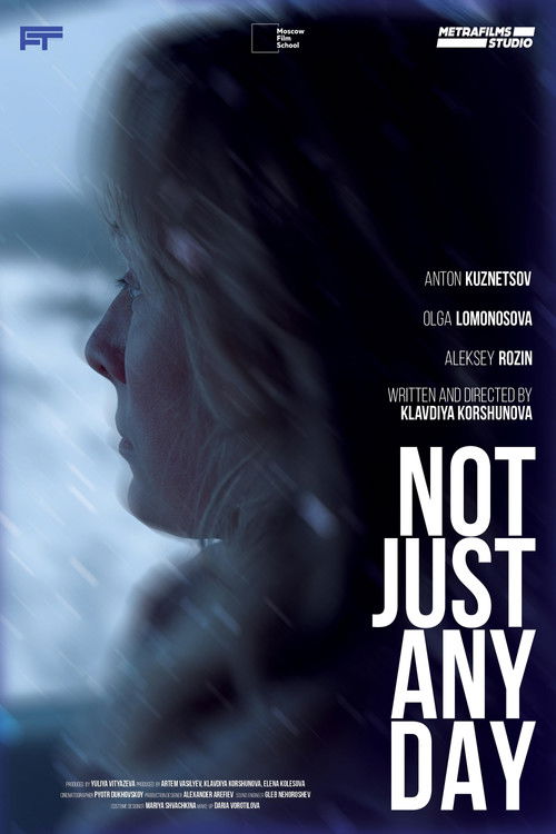 Not Just Any Day (2024) poster