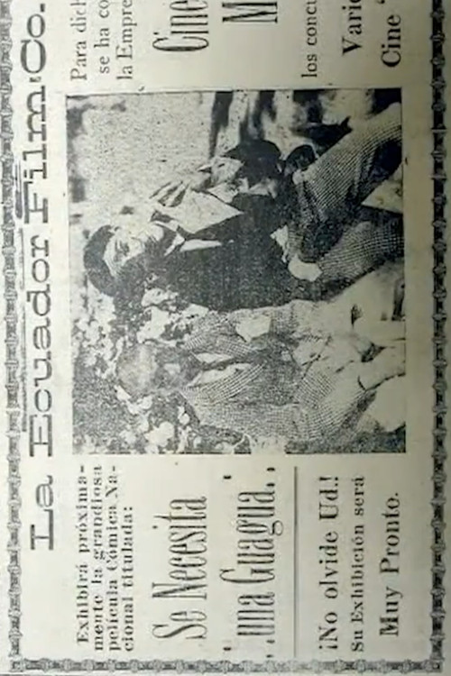 Se Necesita Una Guagua (1924) poster