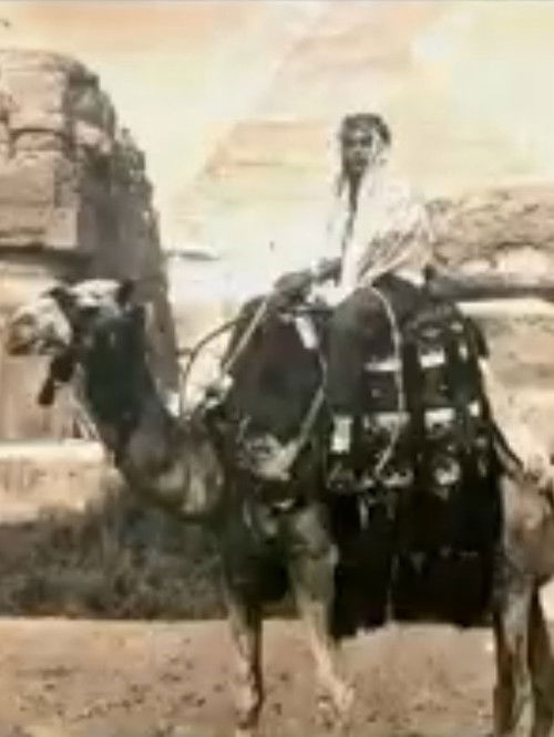 Hard Drive (2020) poster