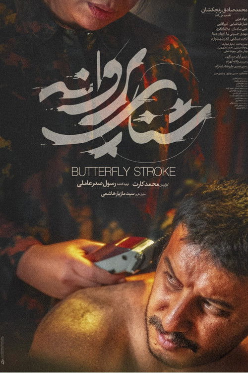 شنای پروانه (2020) poster