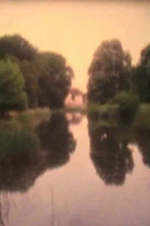 What Troubles the Peace at Brandenburg? (2011) poster