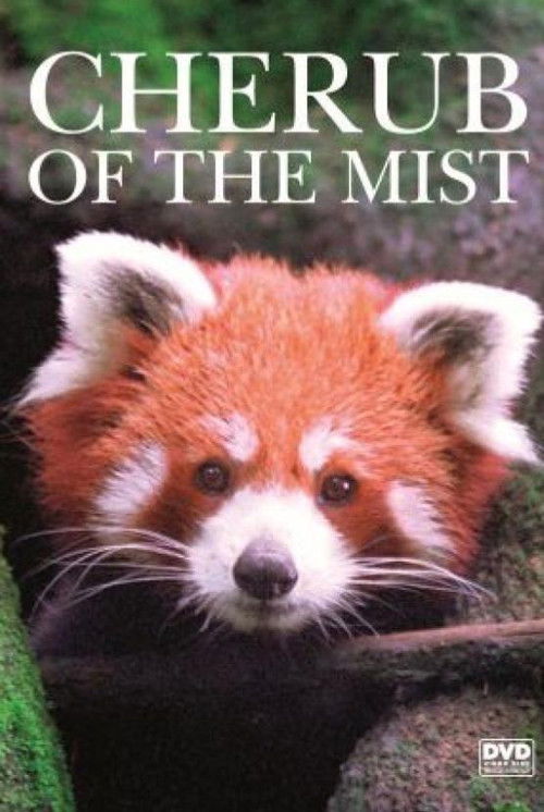 Cherub of the Mist (2006) poster