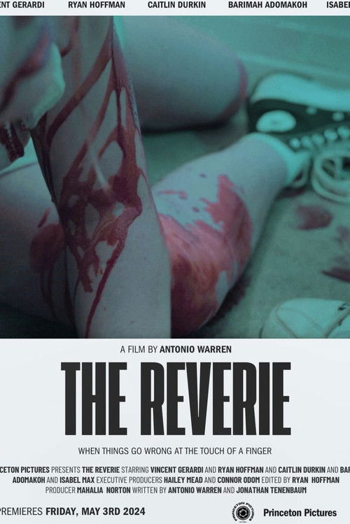 The Reverie poster