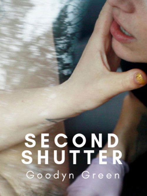Second Shutter (2018) poster