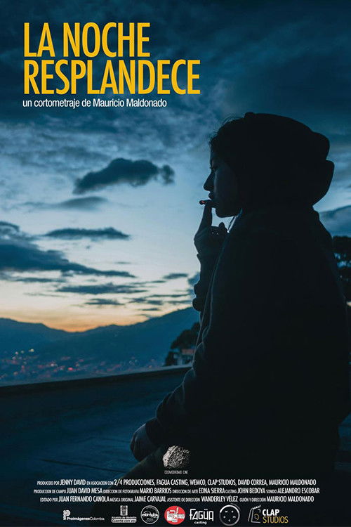 The Night Shines (2018) poster