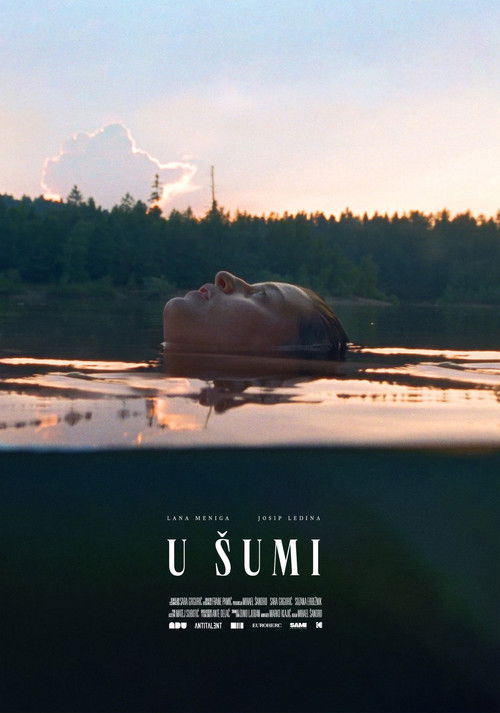 Ormanda (2020) poster