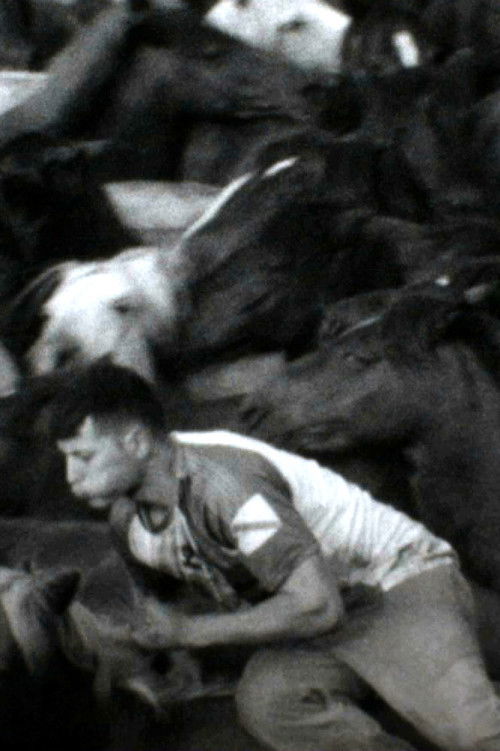 Wild Mane Crop (2017) poster