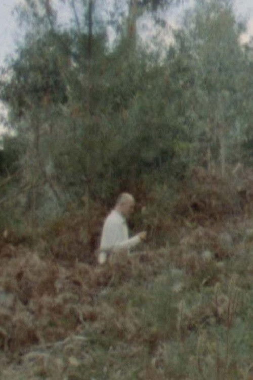 Whale Beards (2021) poster