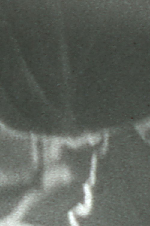 Sluice (1978) poster