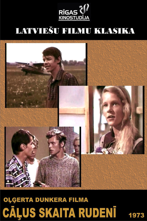 Cāļus skaita rudenī (1973) poster