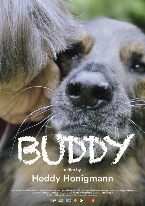 Buddy (2019) poster