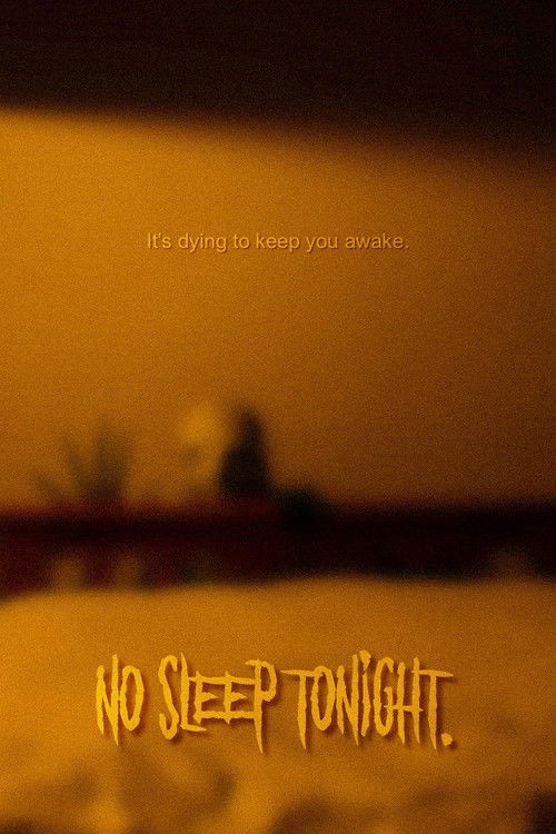 No Sleep Tonight (2024) poster