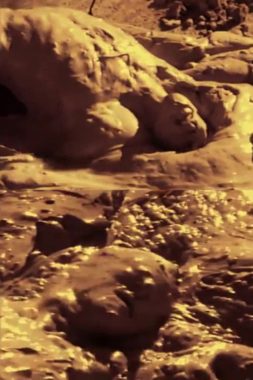 Didier Rousseau, sculptor, performance (1988) poster