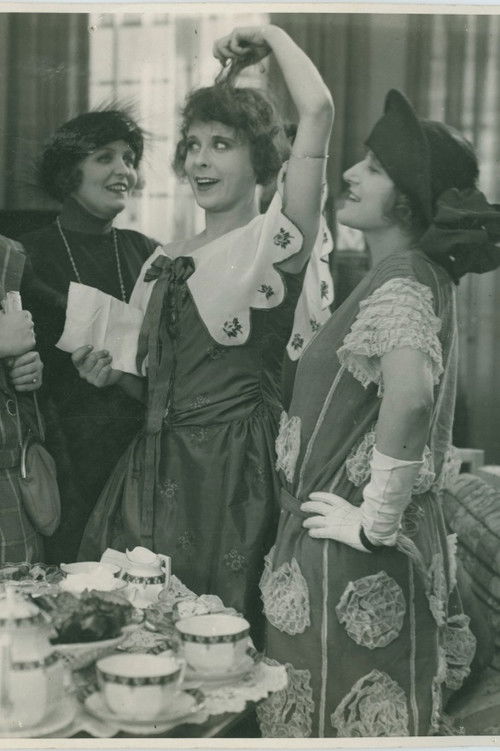 A Maid among Maids (1924) poster