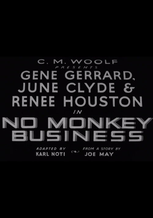 No Monkey Business (1935) poster
