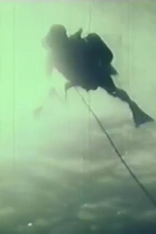 Diving Logs (1948) poster