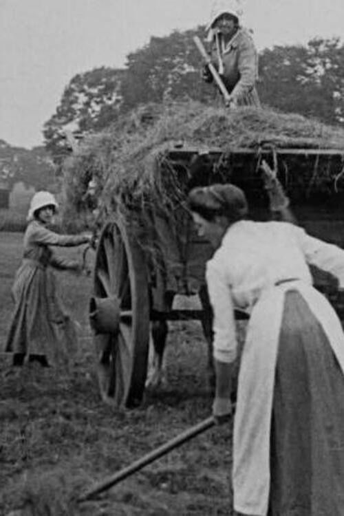 Women Hay Makers (1916) poster