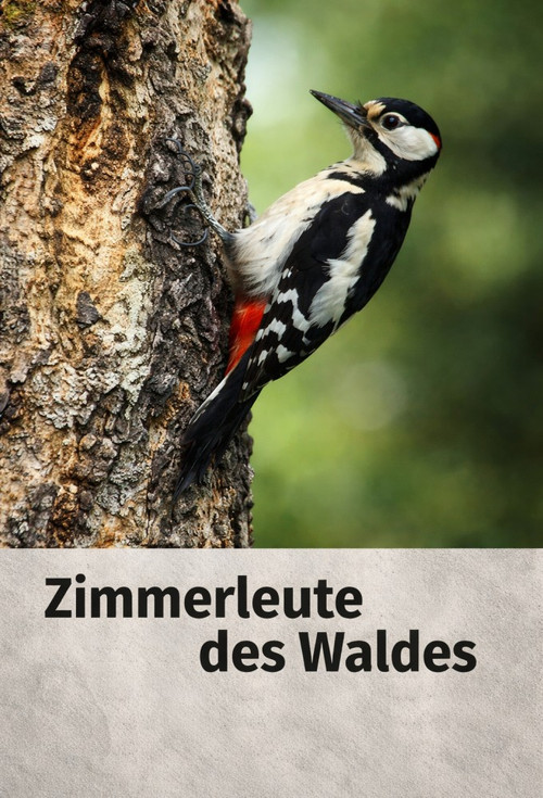 Zimmerleute des Waldes (1955) poster