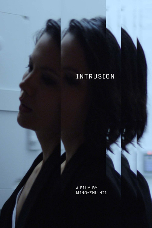 Intrusion (2018) poster