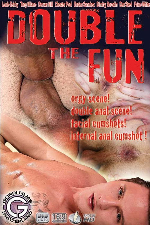 Double The Fun (2010) poster