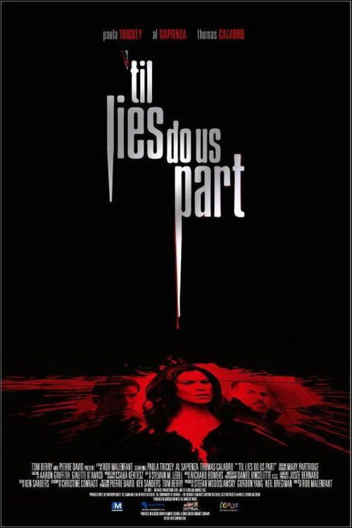 'Til Lies Do Us Part (2007) poster