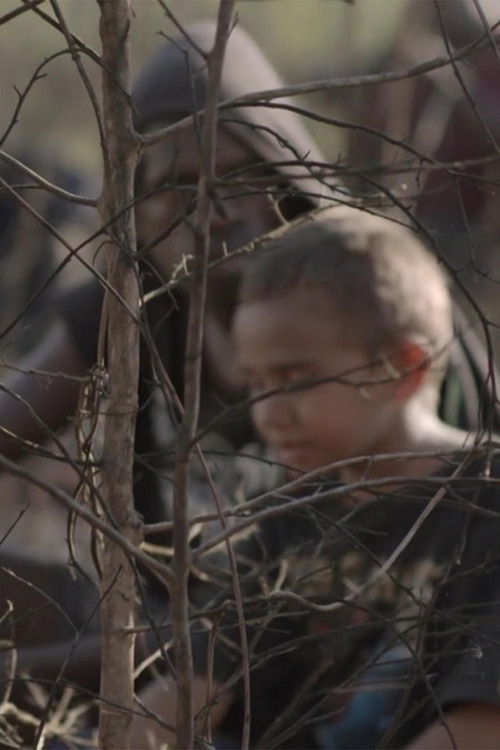 When the Dogs Talked (2014) poster