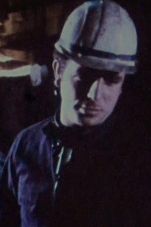 Sie dienen Allah und den Deutschen (1975) poster