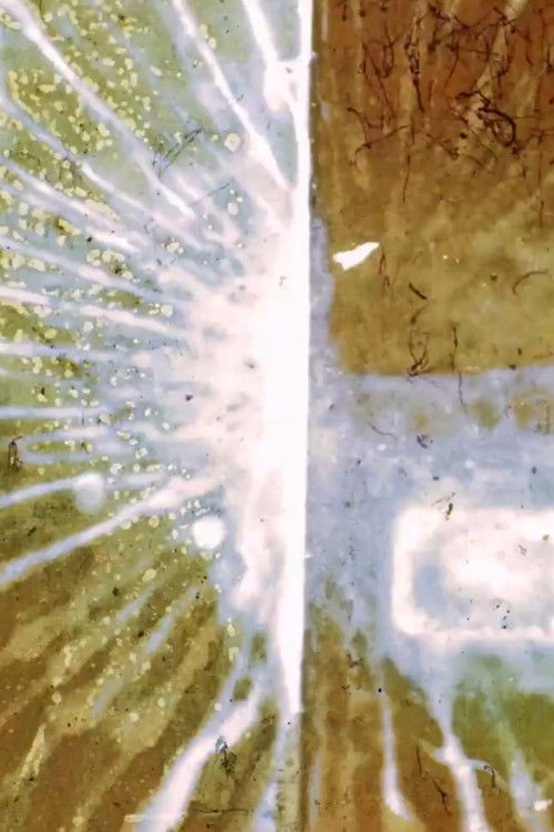 Destellos (2016) poster