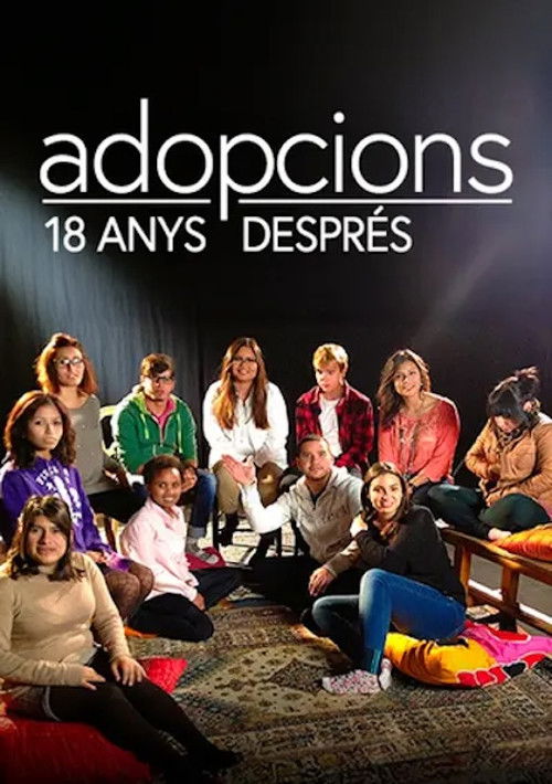 Adopcions, 18 anys després (2014) poster