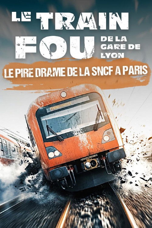 Le train fou de la Gare de Lyon (2017) poster